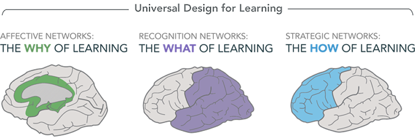 Universal Design for Learning