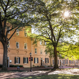 As the sun shines through the trees of the horseshoe, Pinckney/Legare showes off it's three stories in the background.