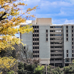 A side view of Bates House, a building with blue/grey bricks and windows lining the building in columns, with green trees in the foreground.