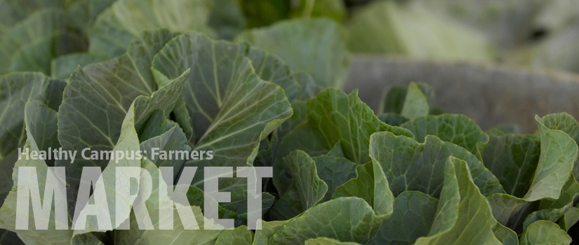 Closeup of fresh greens at the farmers market.