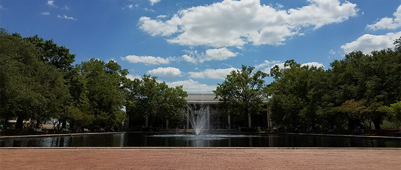 Thomas Cooper Library