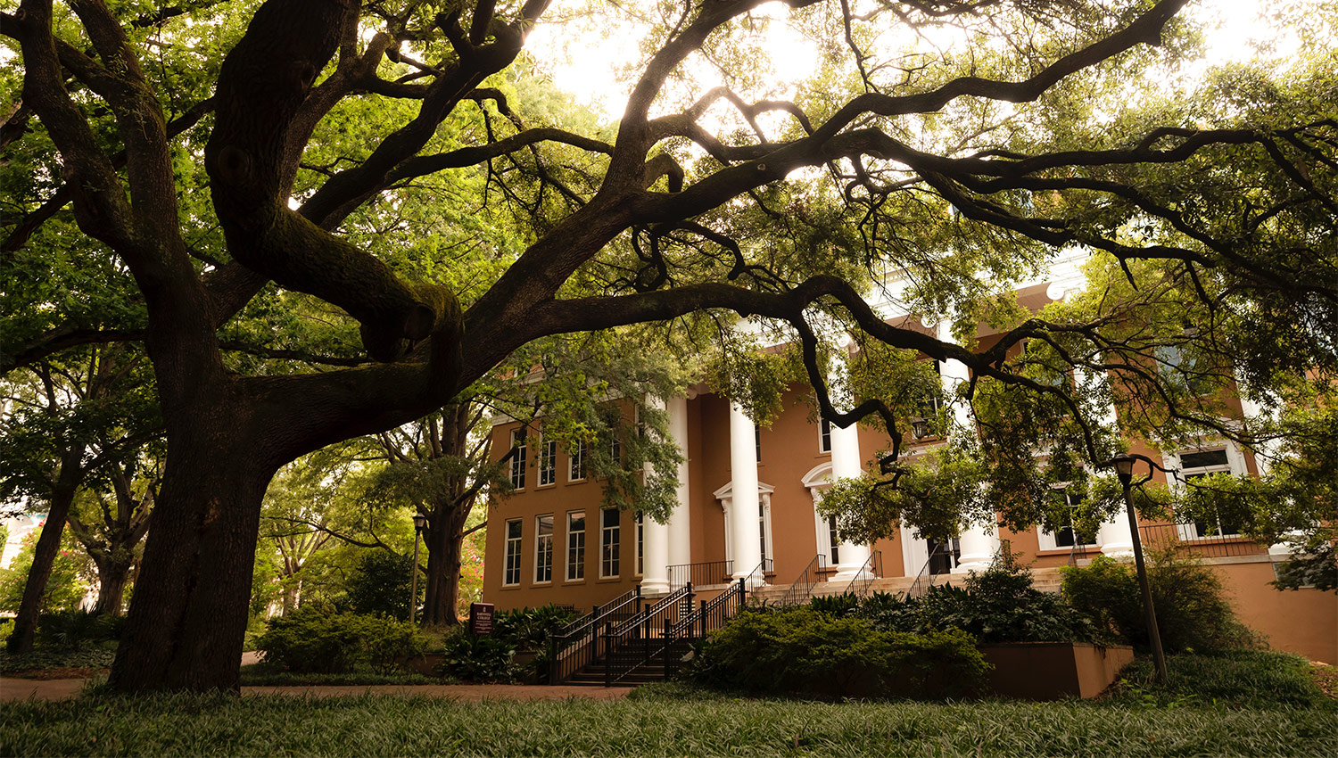 Barnwell college with a beautiful oak tree in front of it. 