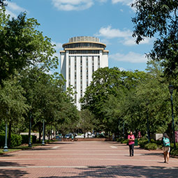 Capstone House in the distance with a brick path and people walking along it in the foreground. 