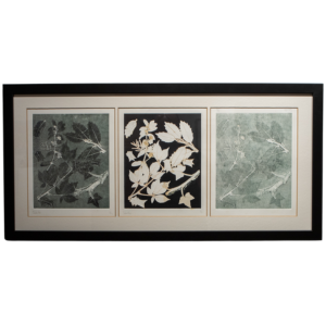Image of three floral/botanical prints against earthy backgrounds