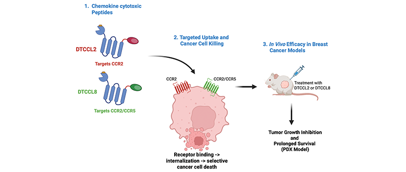 Image of study abstract