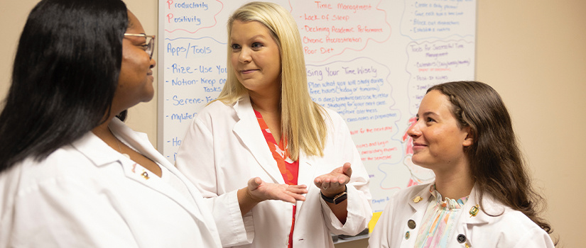 Faculty member speaking with two students