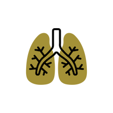Lungs icon