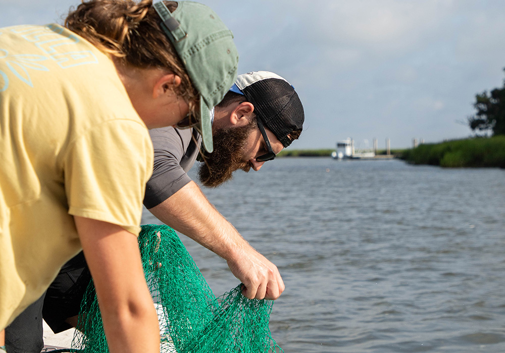 Researchers lower nets into coastal waters.