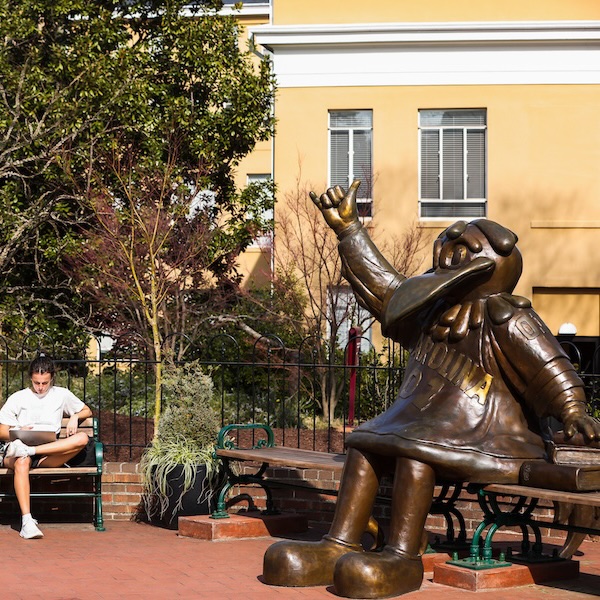student sitting on a bench next to bronze statue of cocky sitting on a bench photographed from the side