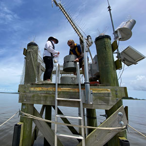 people stand on a platform in a saltmarsh