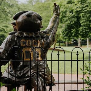 bronze statue of cocky sitting on a bench photographed from behind