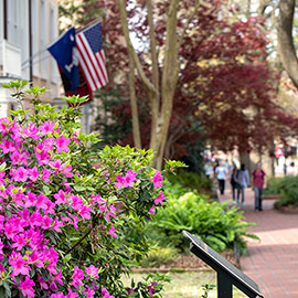 South Carolina and American flags hang from President's House on the UofSC Historic Horseshoe.