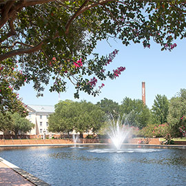 Smokestacks by Thomas Cooper Library