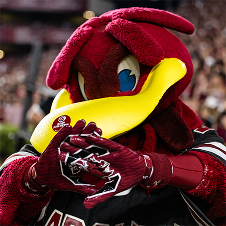 USC mascot, Cocky, with gloves on that form the Block C athletics logo.